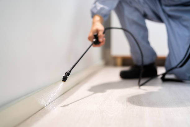 Licensed Mosquito Control service in Black Jack, MO - Show Me Pest Control