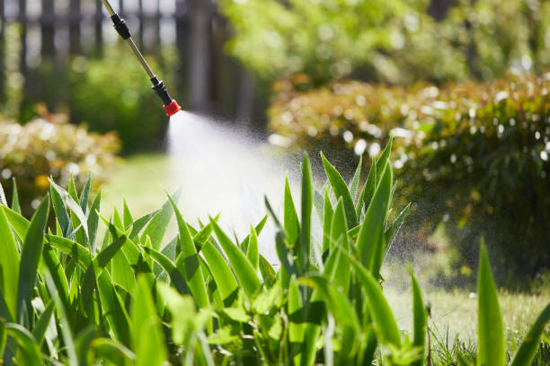 24/7 Emergency Mosquito Control experts in Black Jack, MO