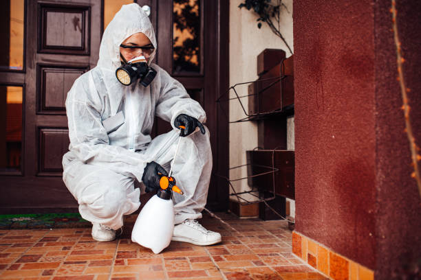 Reliable Mosquito Control contractor in Black Jack, MO by Show Me Pest Control